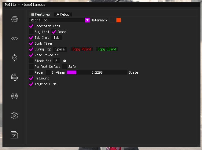 CS2 Misc Options Cheat